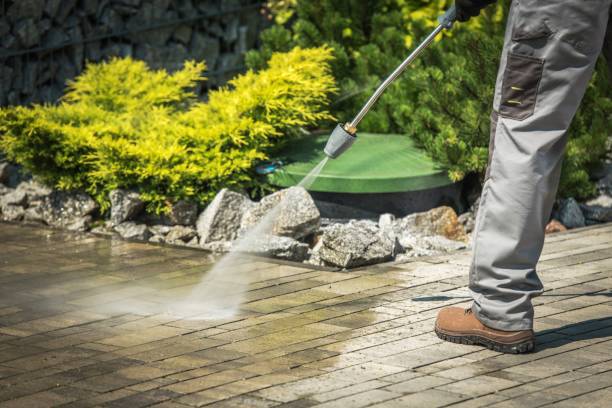 Best Solar Panel Cleaning  in Olcott, NY