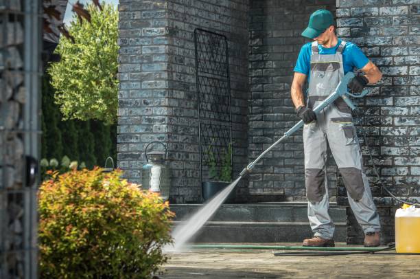 Pre-Holiday Cleaning in Olcott, NY