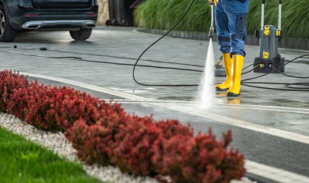 Best Dumpster Area Cleaning  in Olcott, NY