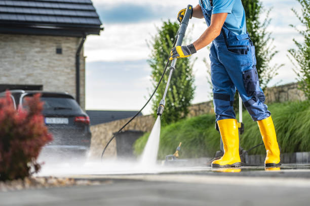 Best House Exterior Washing  in Olcott, NY